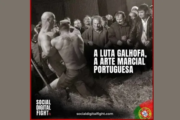 Social Digital Fight