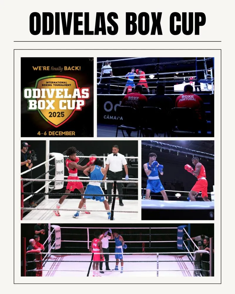Imagens Odivelas Box Cup . Nuno Pacheco Silva